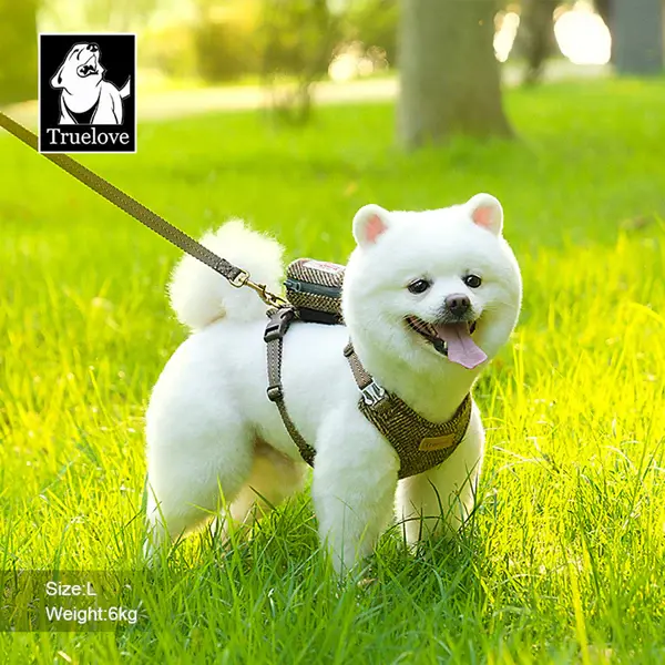 Yünlü Pepper Göğüs Tasması Seti True Love