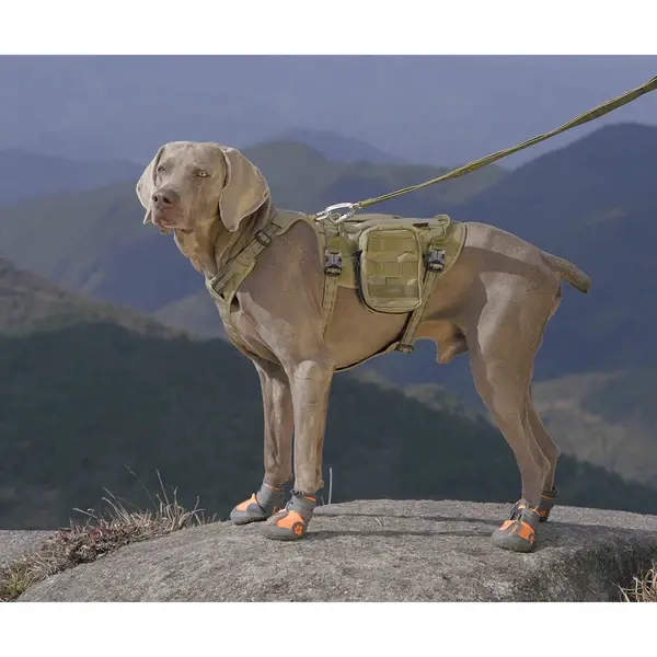 Turuncu Köpek Ayakkabısı Suya Dayanıklı, Nefes Alabilen -True Love