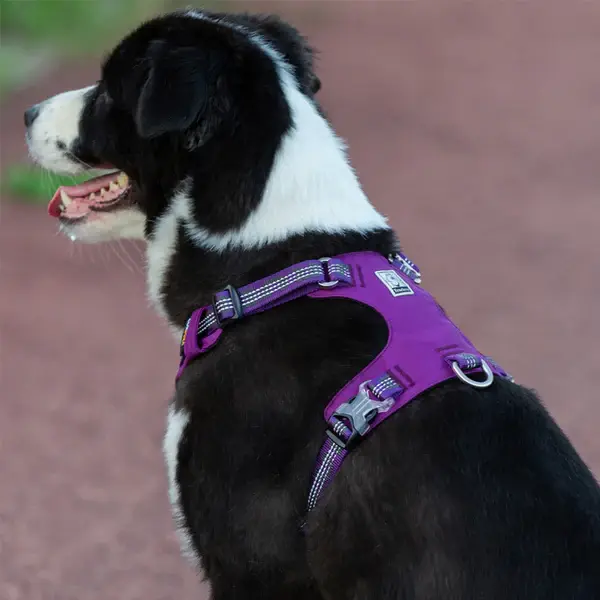 Cordura Kumaşlı, Suya Dayanıklı Asker Yeşili Göğüs Tasması-True Love