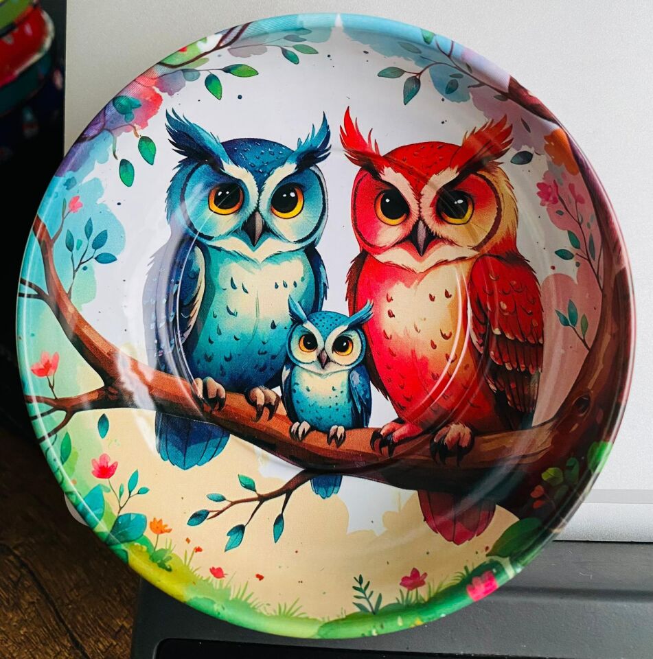 HAYVAN FİGÜRLÜ METAL 6'LI KASE