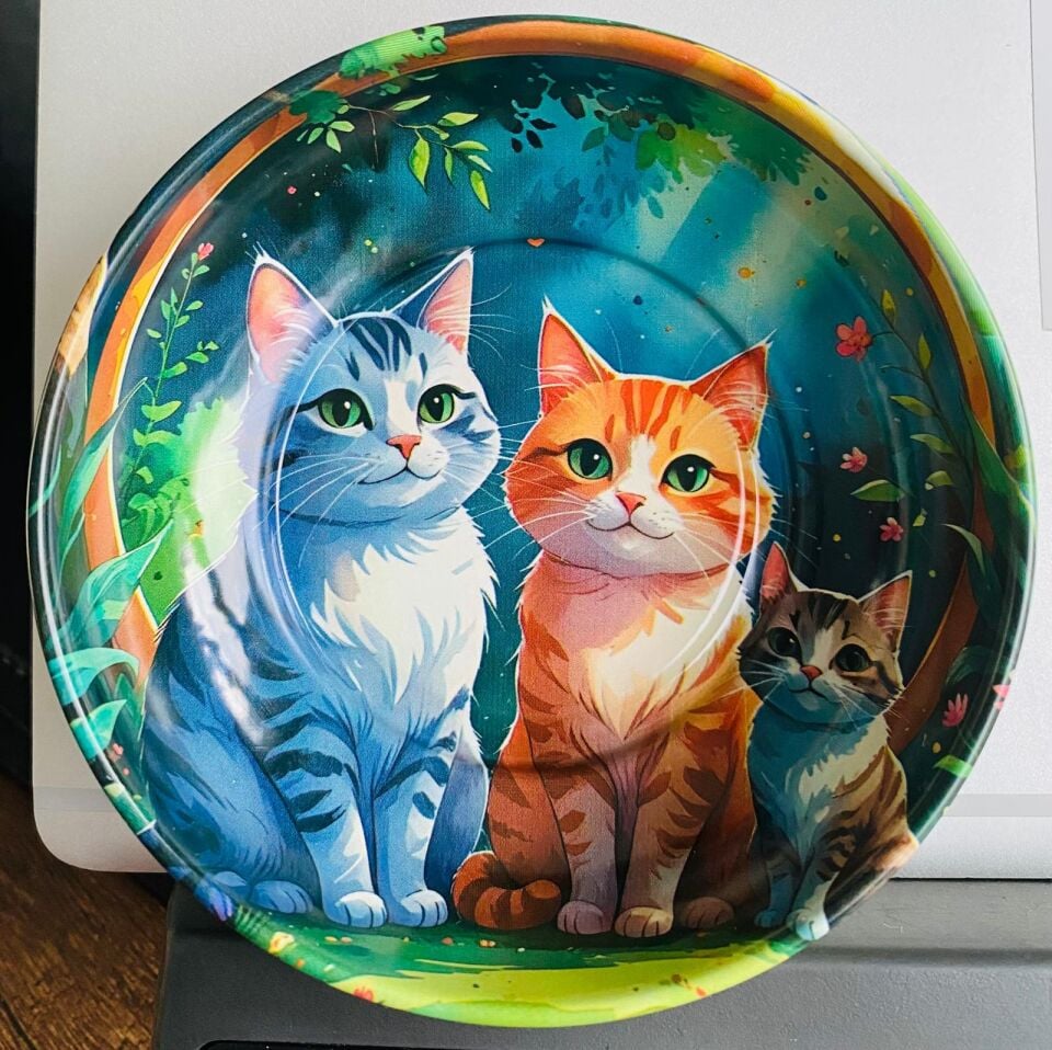 HAYVAN FİGÜRLÜ METAL 6'LI KASE