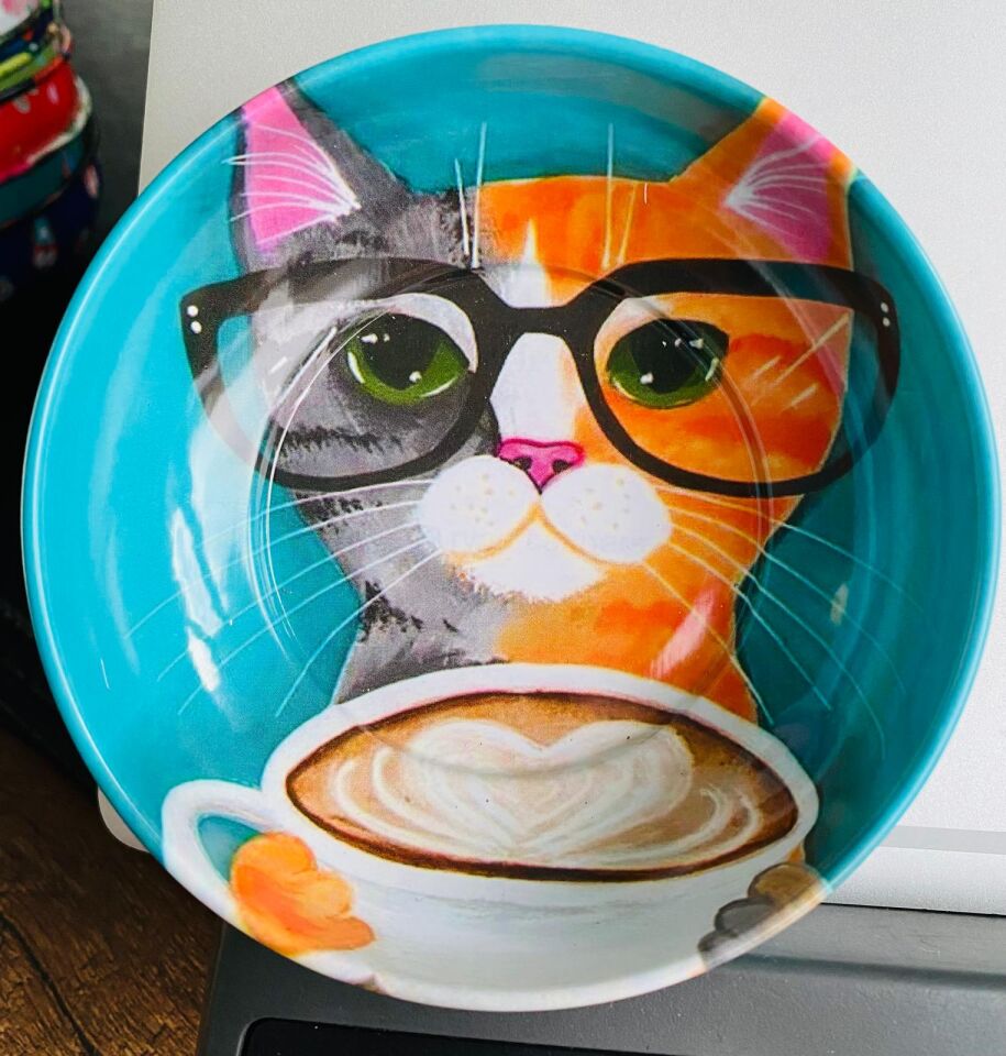 HAYVAN FİGÜRLÜ METAL 6'LI KASE